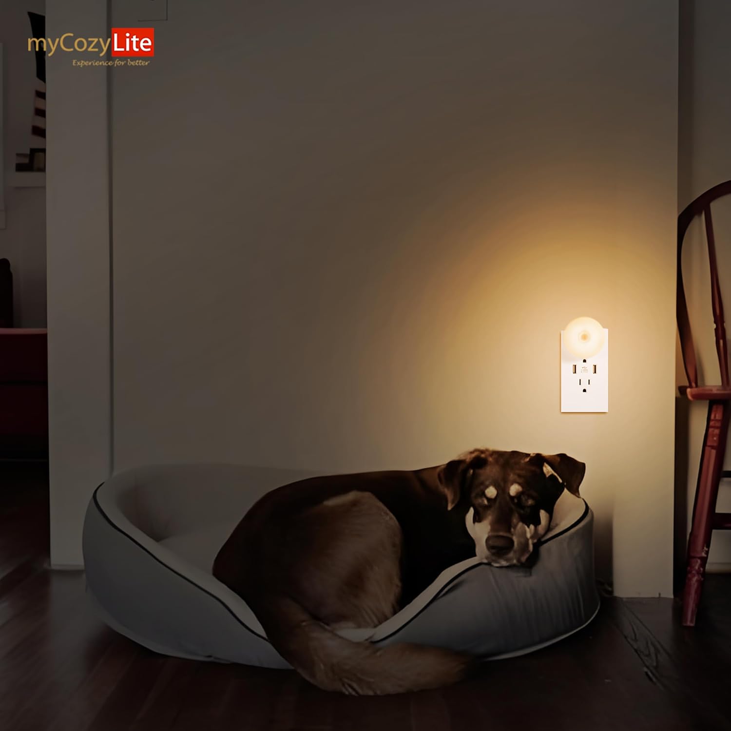 myCozyLite Plug-in Night Lights 2 Pack with Motion Sensor - Automatic Warm Hue Night Light for Kitchen, Bathroom, Bedroom, Hallway, Stairs - Slim Design, Motion Activated Indoor Lighting for Kids and Adults