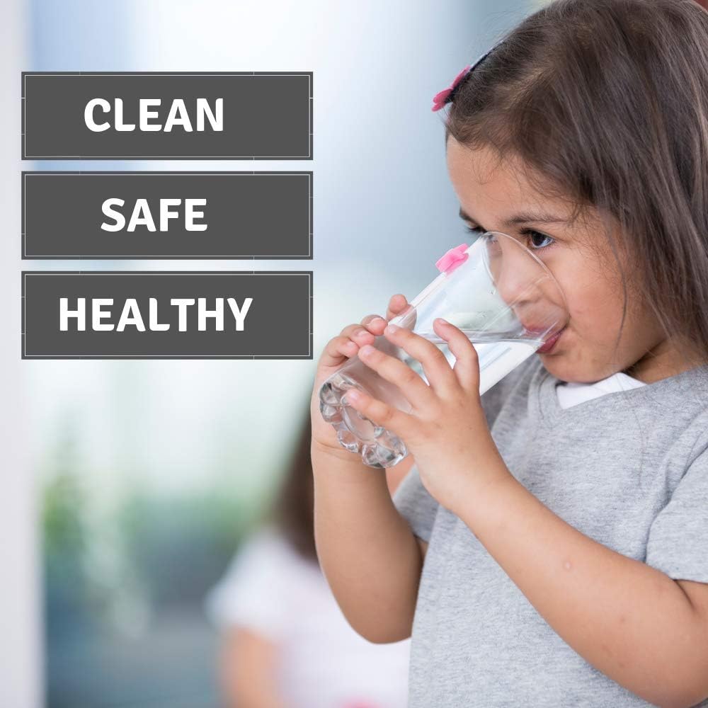 NSF Certified Max Strength Water Filter Replacement for Brita & Mavea Pitchers - 6 Count, 1 Year Supply