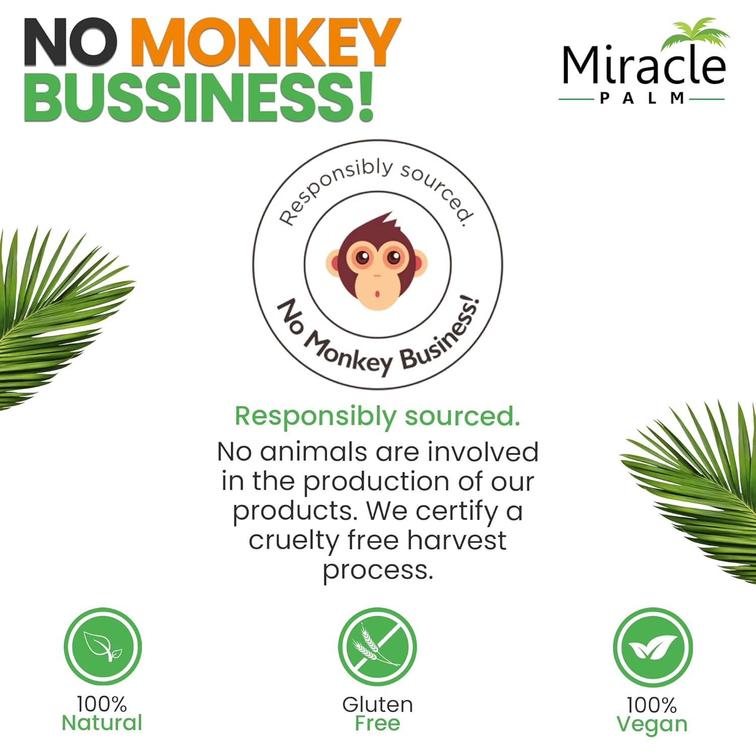 Organic Miracle Palm Virgin Coconut Oil for Skin, Hair, Cooking & Baby Care - 1 Gallon Unrefined Coconut Oil for Baking, Sautéing & Stir Frying