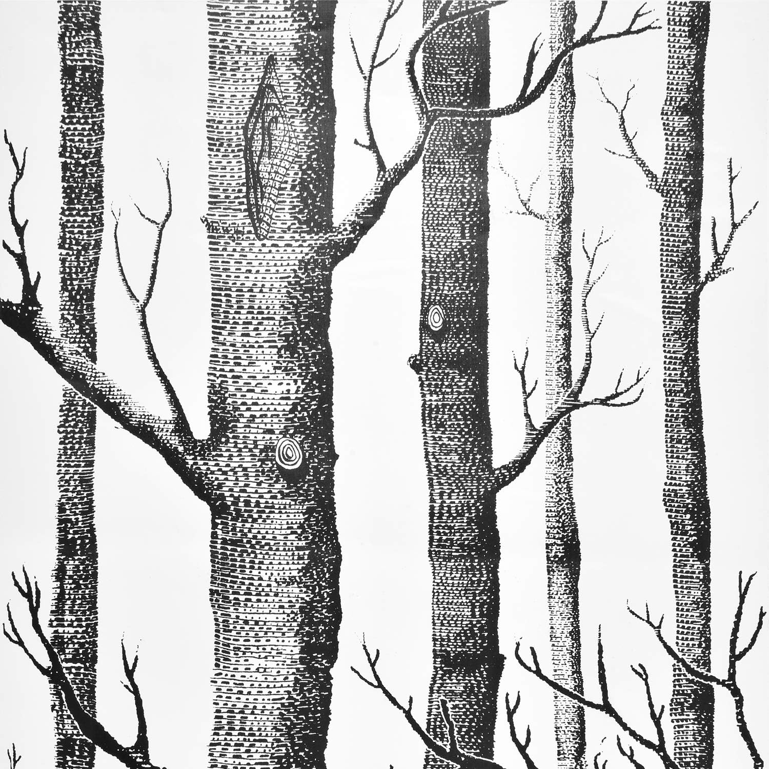 Peel and Stick Birch Tree Wallpaper - Black Trunk, Self Adhesive, Waterproof, Removable - Ideal for Bedroom, Living Room, Shelf Décor - 17.71" x 78.7