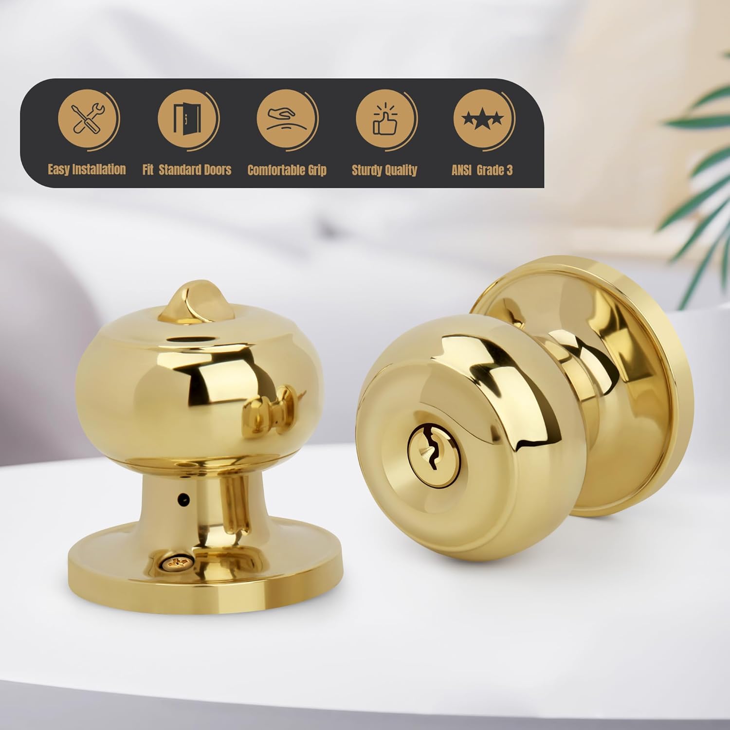 Polished Brass Keyed Entry Door Knob Set for Front/Entrance Doors, Flat Ball Interior Knob with Lock, Round Exterior Doorknob