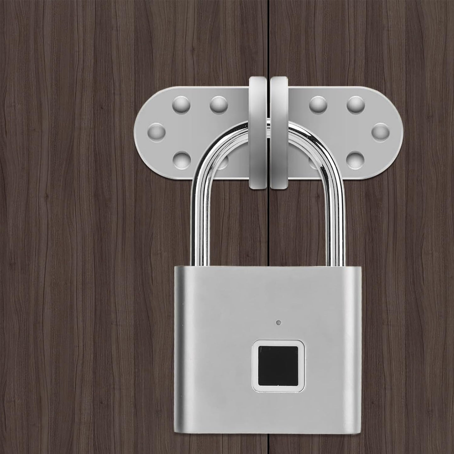 Portable Keyless Biometric Fingerprint Padlock for Outdoor Gate, Locker, Gym - Silver (10 Fingerprints) - WildKart