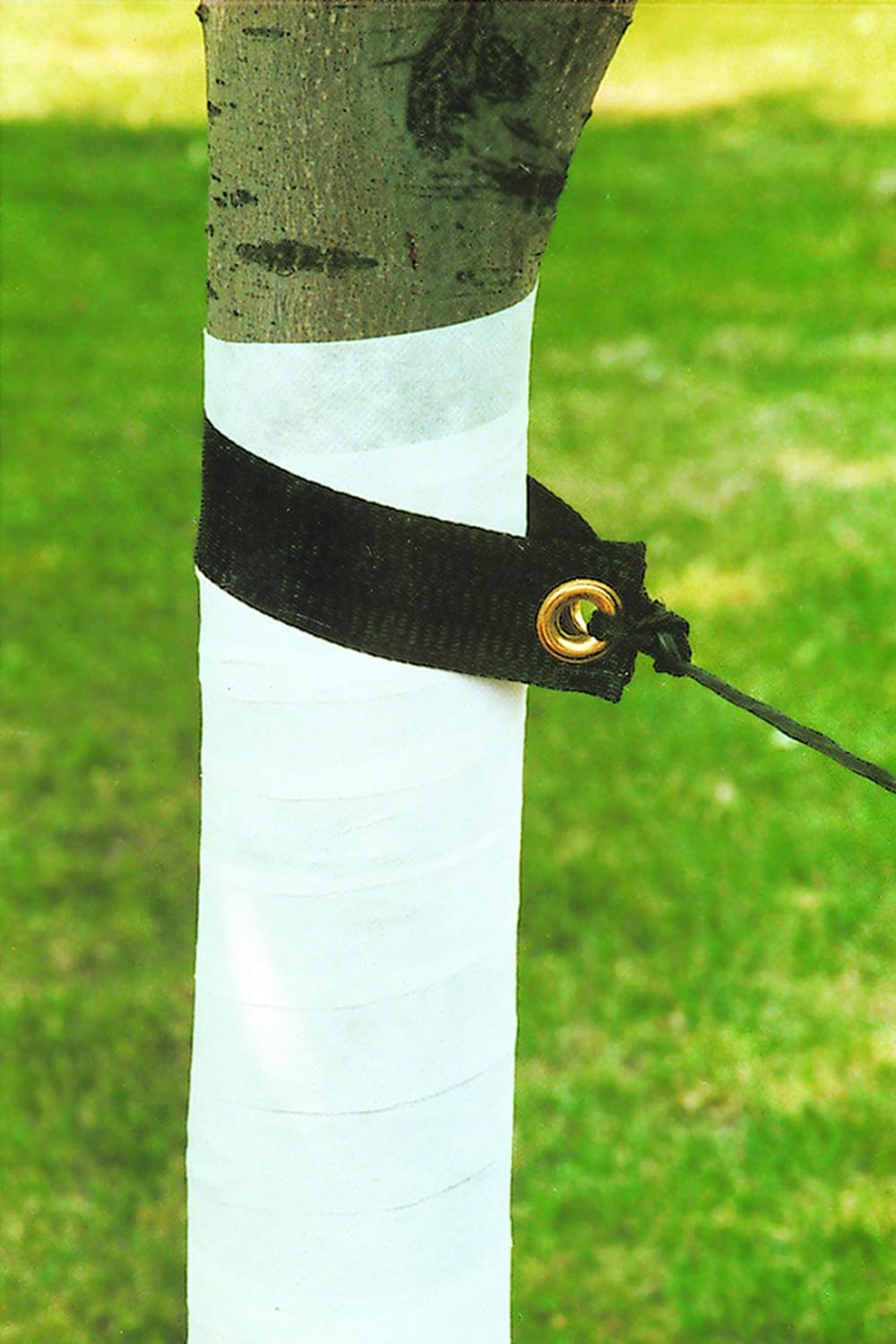 Protect Your Trees with Dewitt Tree Wrap - 3 Inches x 50 Feet
