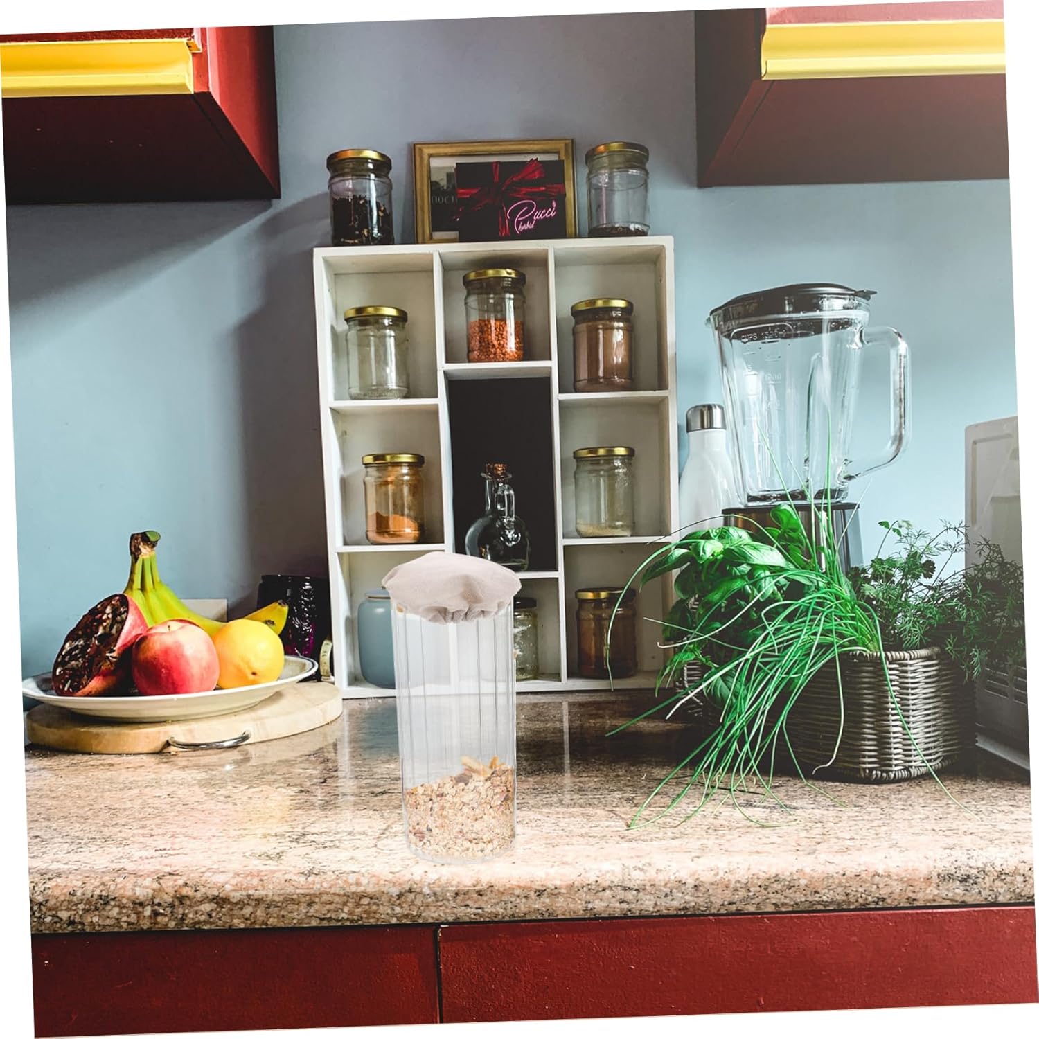 Replacement Lid for Wide Mouth Canning Jars - Single Piece Cloth Cover for Storage, Sprouting, and Kitchen Use