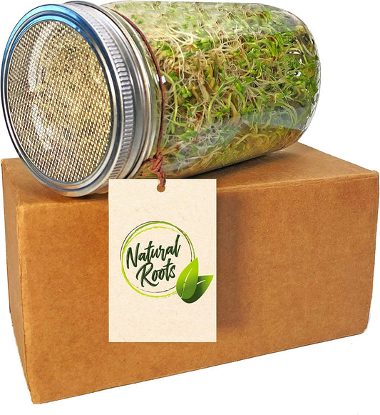Rust-Free Stainless Steel Sprouting Jar Kit for Fresh Organic Sprouts - Wide Mouth Quart Mason Jar with Screen Lid for Broccoli, Alfalfa, Mung Bean Sprouts - Seeds not Included
