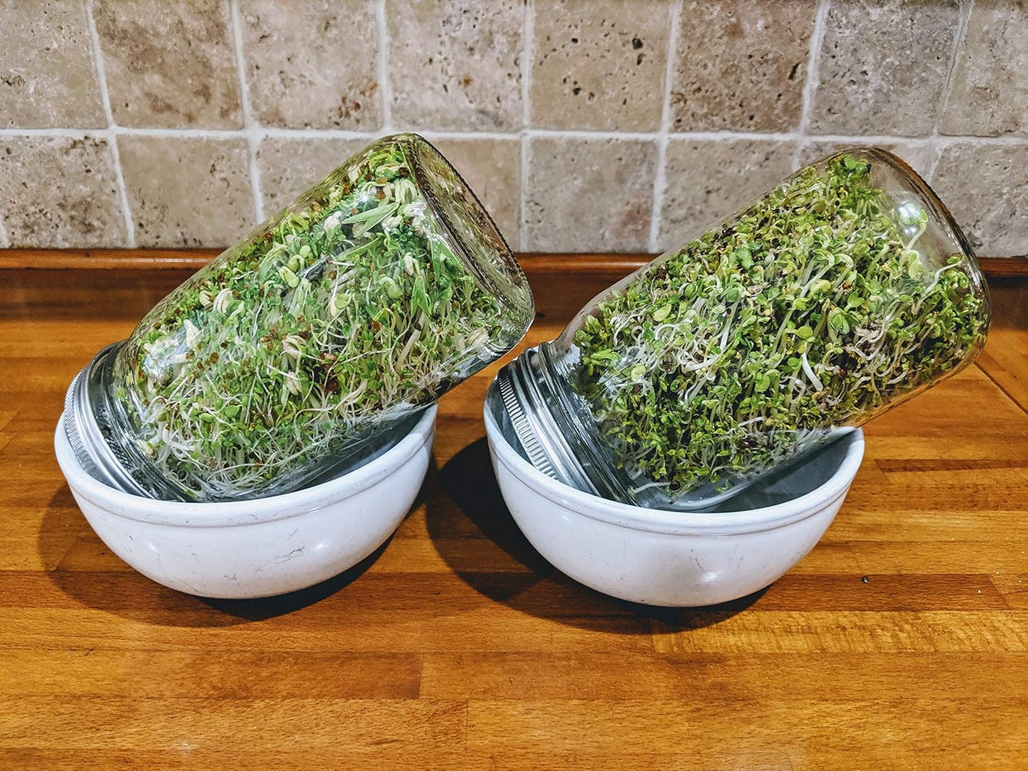 Rust-Free Stainless Steel Sprouting Jar Kit for Fresh Organic Sprouts - Wide Mouth Quart Mason Jar with Screen Lid for Broccoli, Alfalfa, Mung Bean Sprouts - Seeds not Included