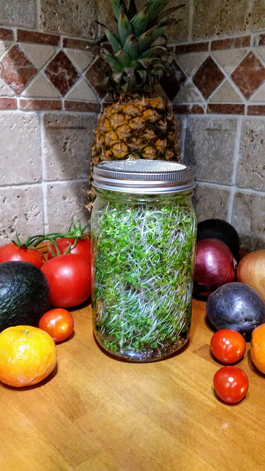 Rust-Free Stainless Steel Sprouting Jar Kit for Fresh Organic Sprouts - Wide Mouth Quart Mason Jar with Screen Lid for Broccoli, Alfalfa, Mung Bean Sprouts - Seeds not Included