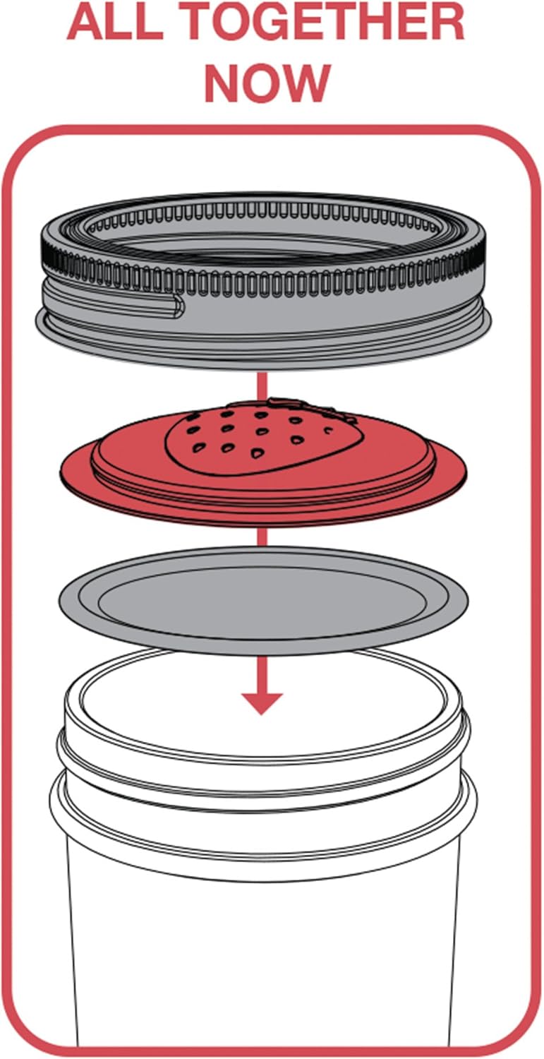 Set of 4 Jarware Strawberry Jelly/Jam Lids for Regular Mouth Mason Jars