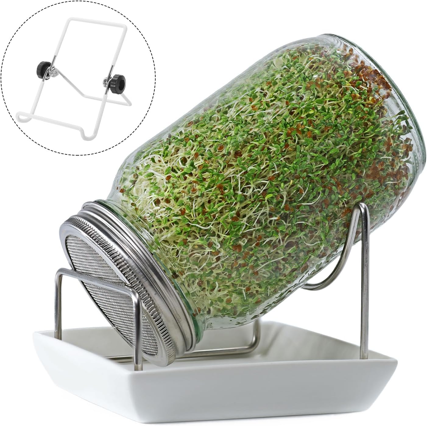 Set of 4 PATIKIL Stainless Steel Foldable Sprouting Stands for Wide Mouth Canning Jars - Adjustable Holders for Growing Sprouts
