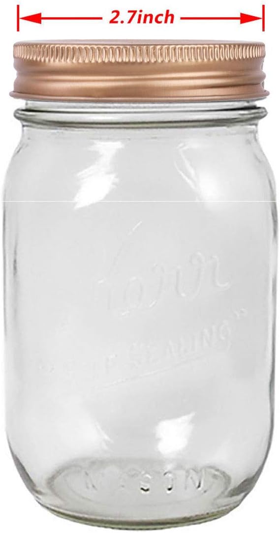 Set of 6 Rose Gold Coin Slot Lids for Mason Jars & Piggy Banks - Regular Mouth Jar Accessories