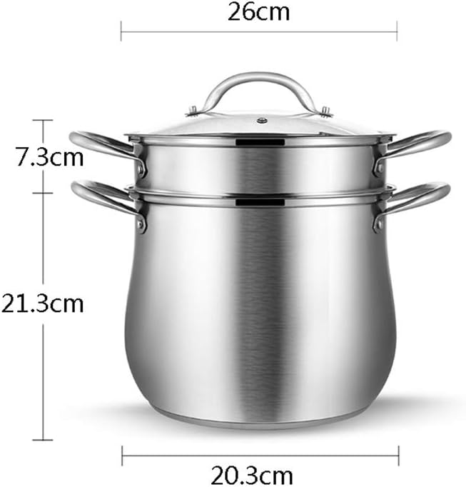 SEYFI 2-Tier Stainless Steel Steamer Pan Set with Vegetable Insert Pans and Glass Lid - 26 * 28.6cm