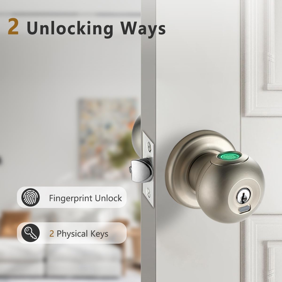 Smart Biometric Fingerprint Door Lock for Bedrooms, Hotels, Apartments, Offices, and Garages - Keyless Entry Thumbprint Lock