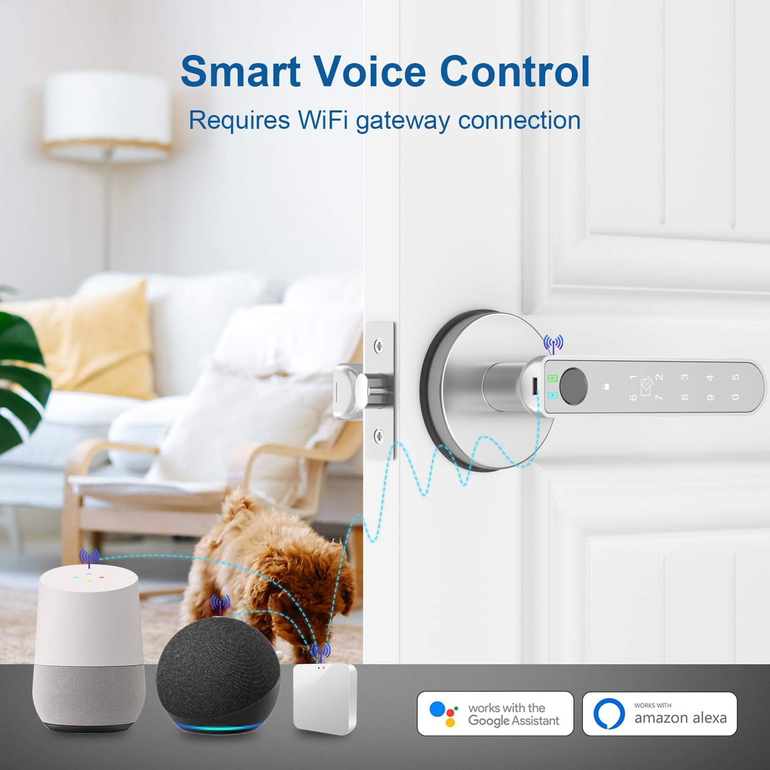 Smart Fingerprint Door Lock with App Control - Keyless Entry Biometric Door Knob for Home Office Apartment - Silver