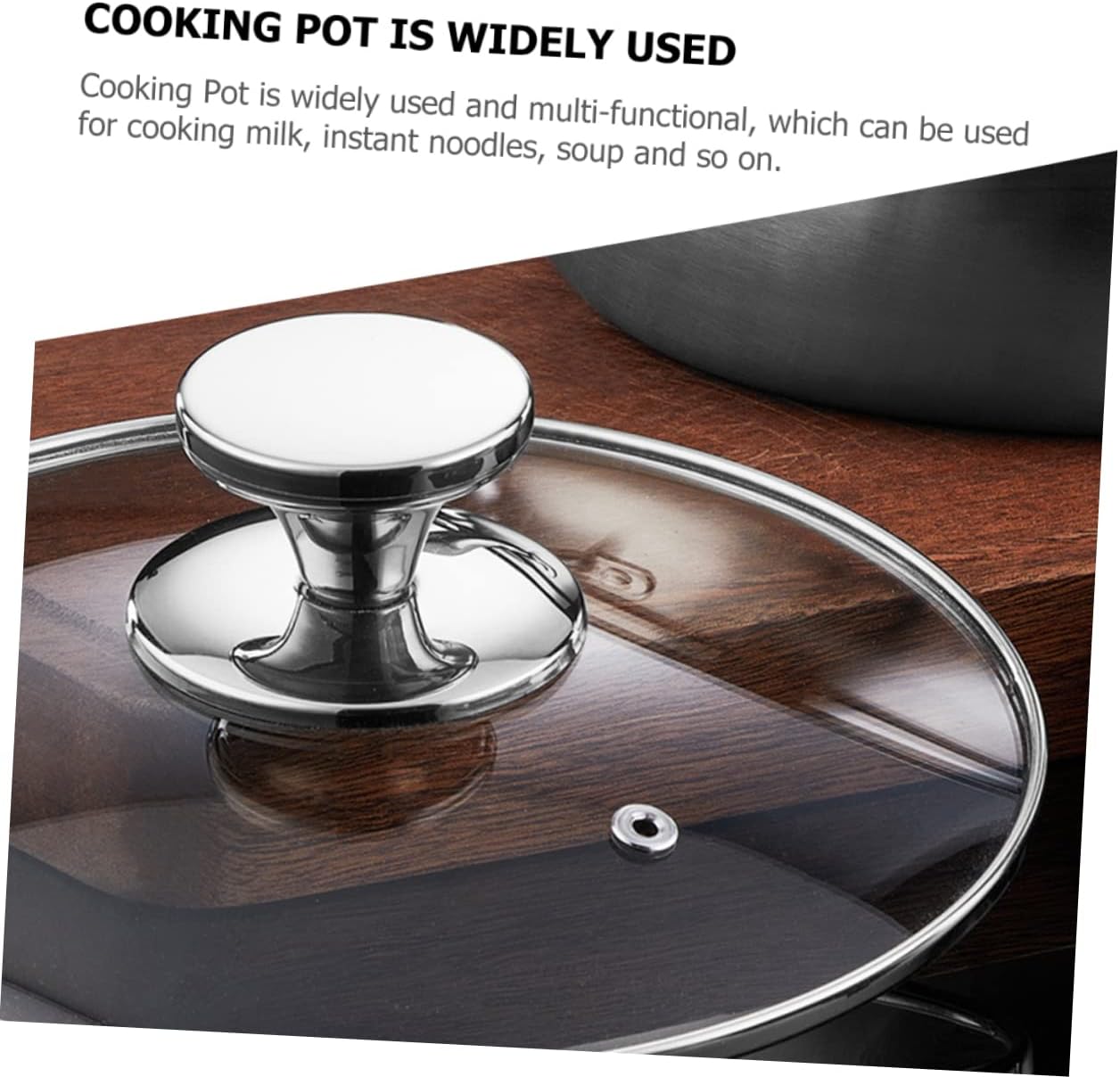 Stainless Steel BBQ Plate with Lid for Grilling, Roasting, Baking, and Serving