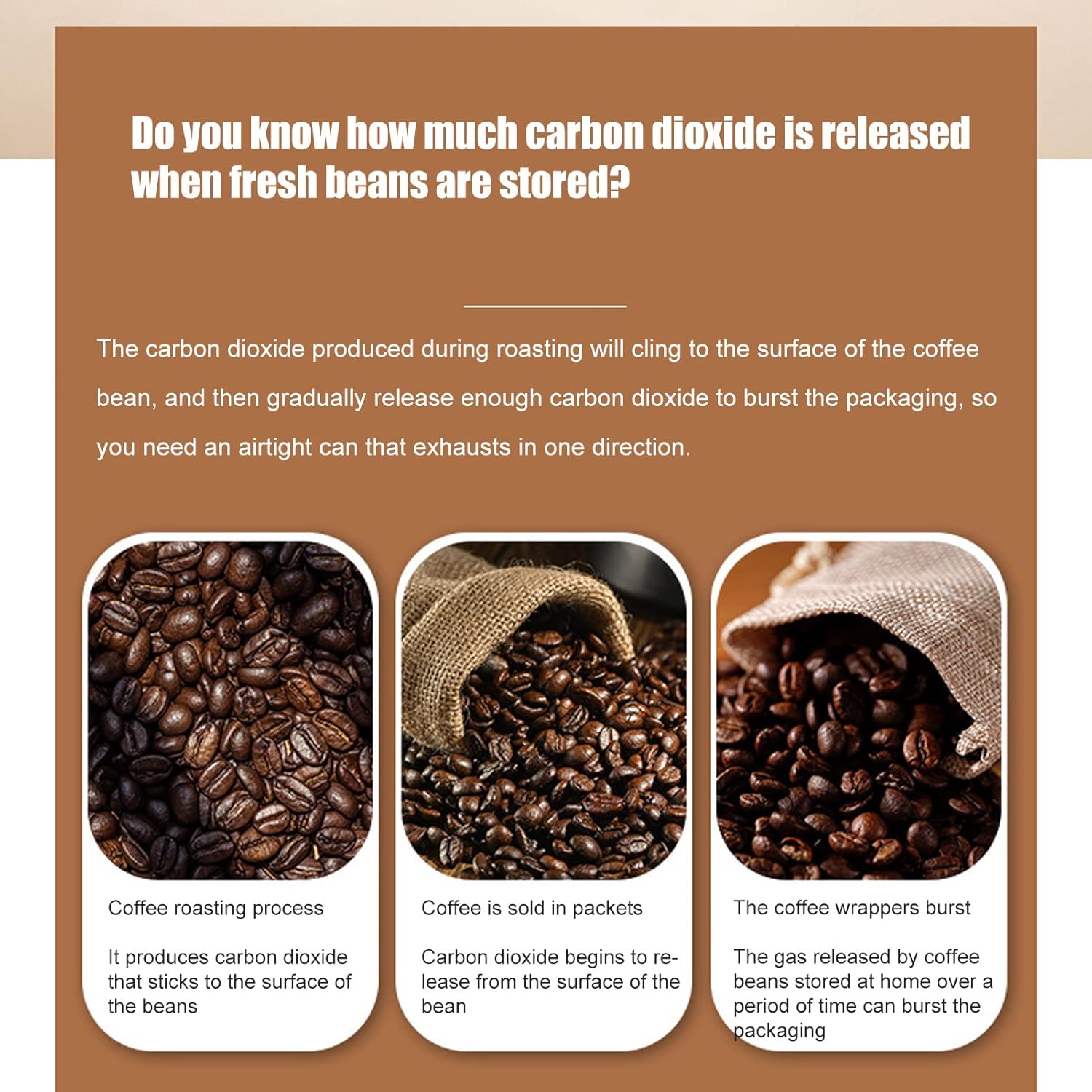 Stainless Steel Coffee Canister with Airtight Lid for Coffee Bean Storage - Creamy White 1.8L