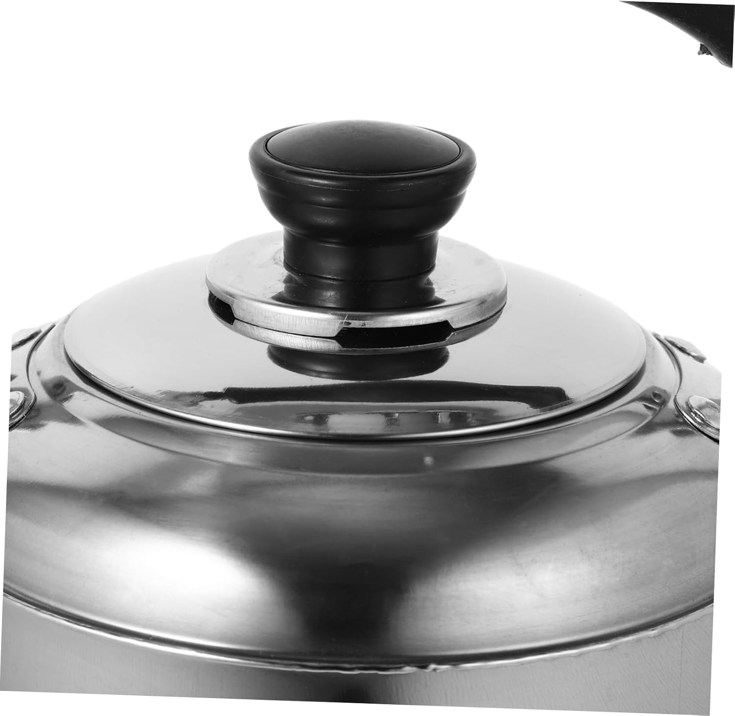 Stainless Steel Electric Tea Kettle with Variable Temperature Control and Whistling Spout - Multipurpose Water Pot for Stove Top or Shower Use