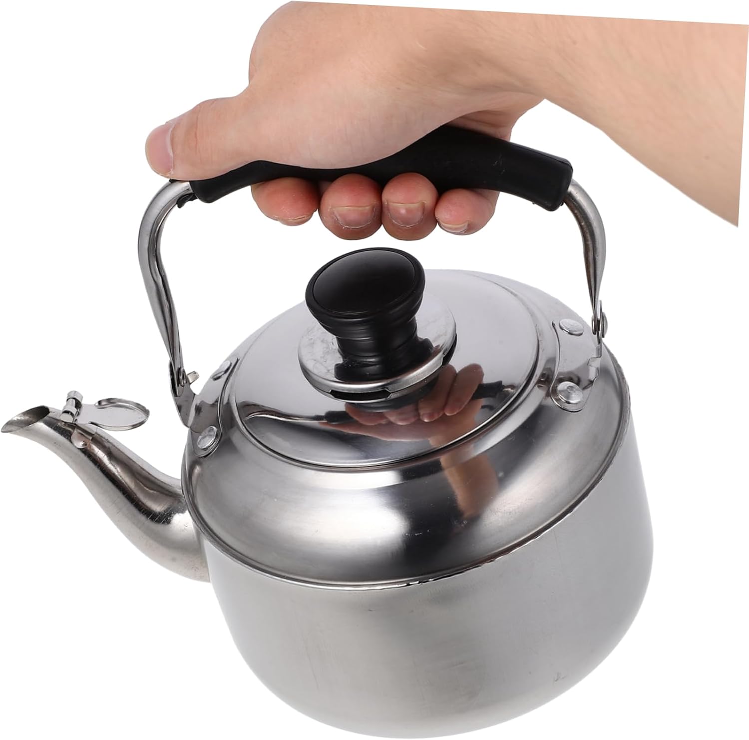 Stainless Steel Electric Tea Kettle with Variable Temperature Control and Whistling Spout - Multipurpose Water Pot for Stove Top or Shower Use