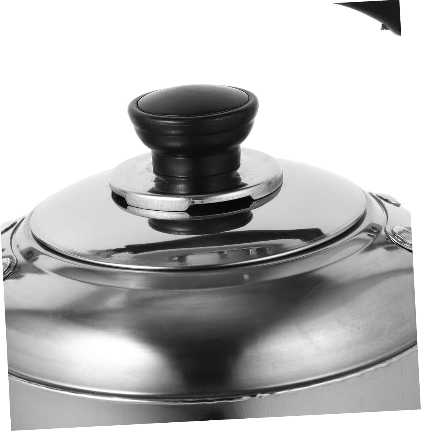 Stainless Steel Electric Tea Kettle with Variable Temperature Control and Whistling Spout - Multipurpose Water Pot for Stove Top or Shower Use