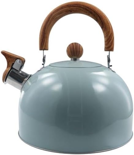 Stainless Steel Tea Kettle with Handle for Fast Boiling Water - Stovetop Whistling Teapot
