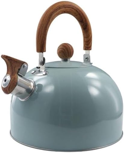 Stainless Steel Tea Kettle with Handle for Fast Boiling Water - Stovetop Whistling Teapot