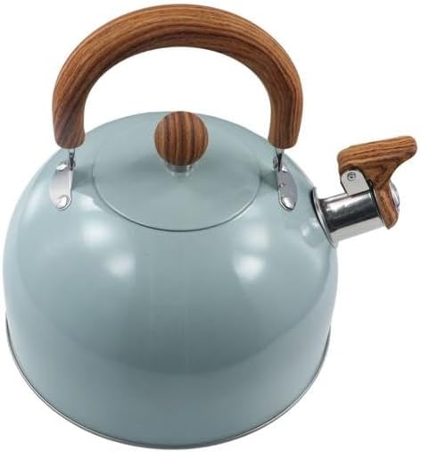 Stainless Steel Tea Kettle with Handle for Fast Boiling Water - Stovetop Whistling Teapot