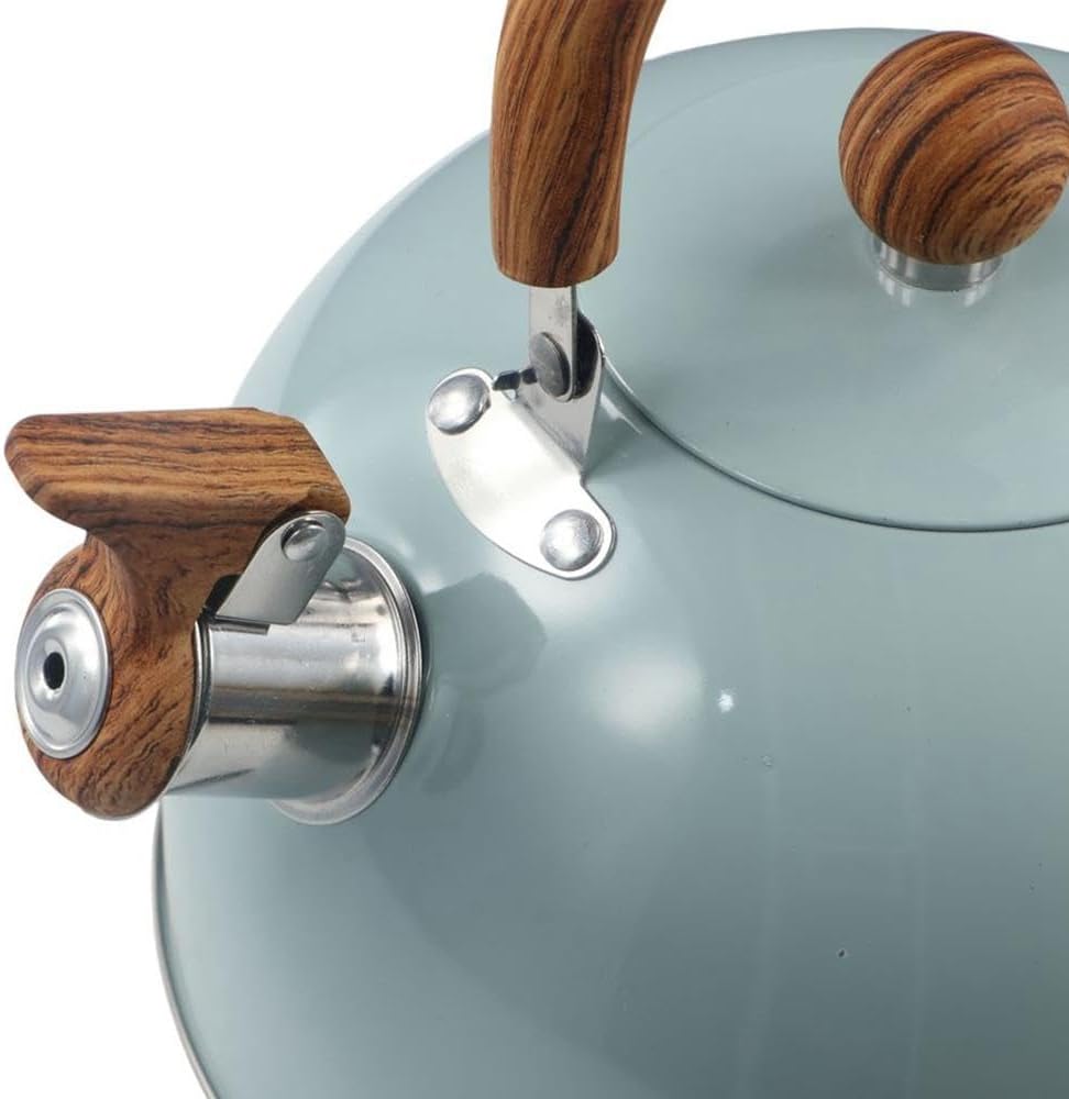Stainless Steel Tea Kettle with Handle for Fast Boiling Water - Stovetop Whistling Teapot
