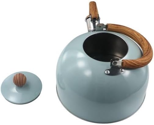 Stainless Steel Tea Kettle with Handle for Fast Boiling Water - Stovetop Whistling Teapot