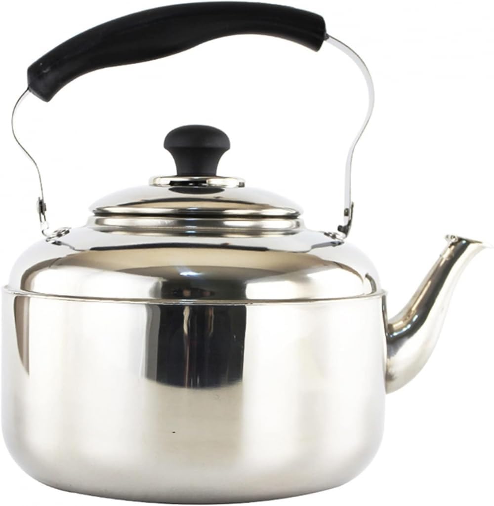 Stainless Steel Teapot with Infuser Whistling Kettle for Home Kitchen, Camping, Picnic - 9L Capacity