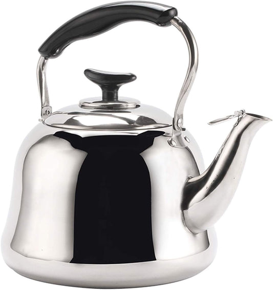 Stainless Steel Whistling Tea Kettle for Stove Top with Ergonomic Handle - 5L Silver