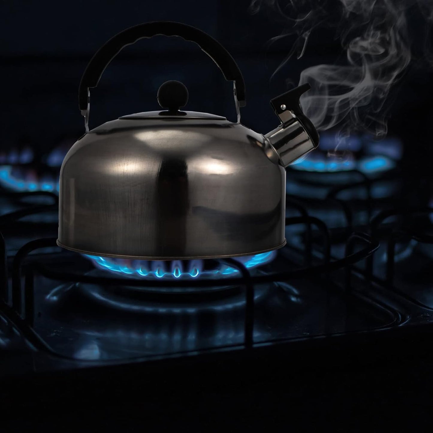 Stainless Steel Whistling Teapot Kettle for Stovetop - Classic 2QT Boiling Teapot with Handle