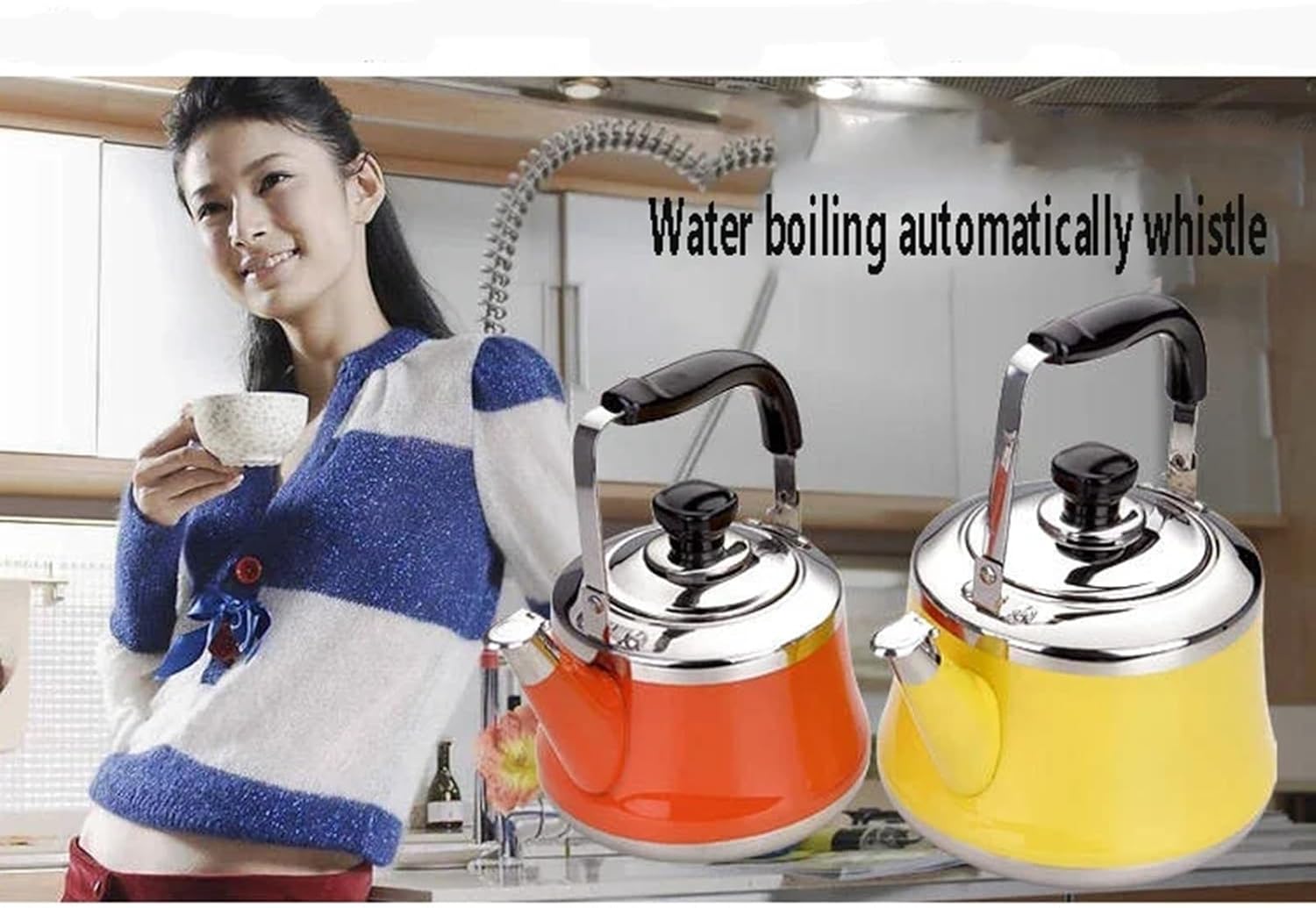 Whistling Stainless Steel Tea Kettle with Foldable Handle - 9.2L Capacity for Coffee, Tea, Milk - Gas and Electric Compatible